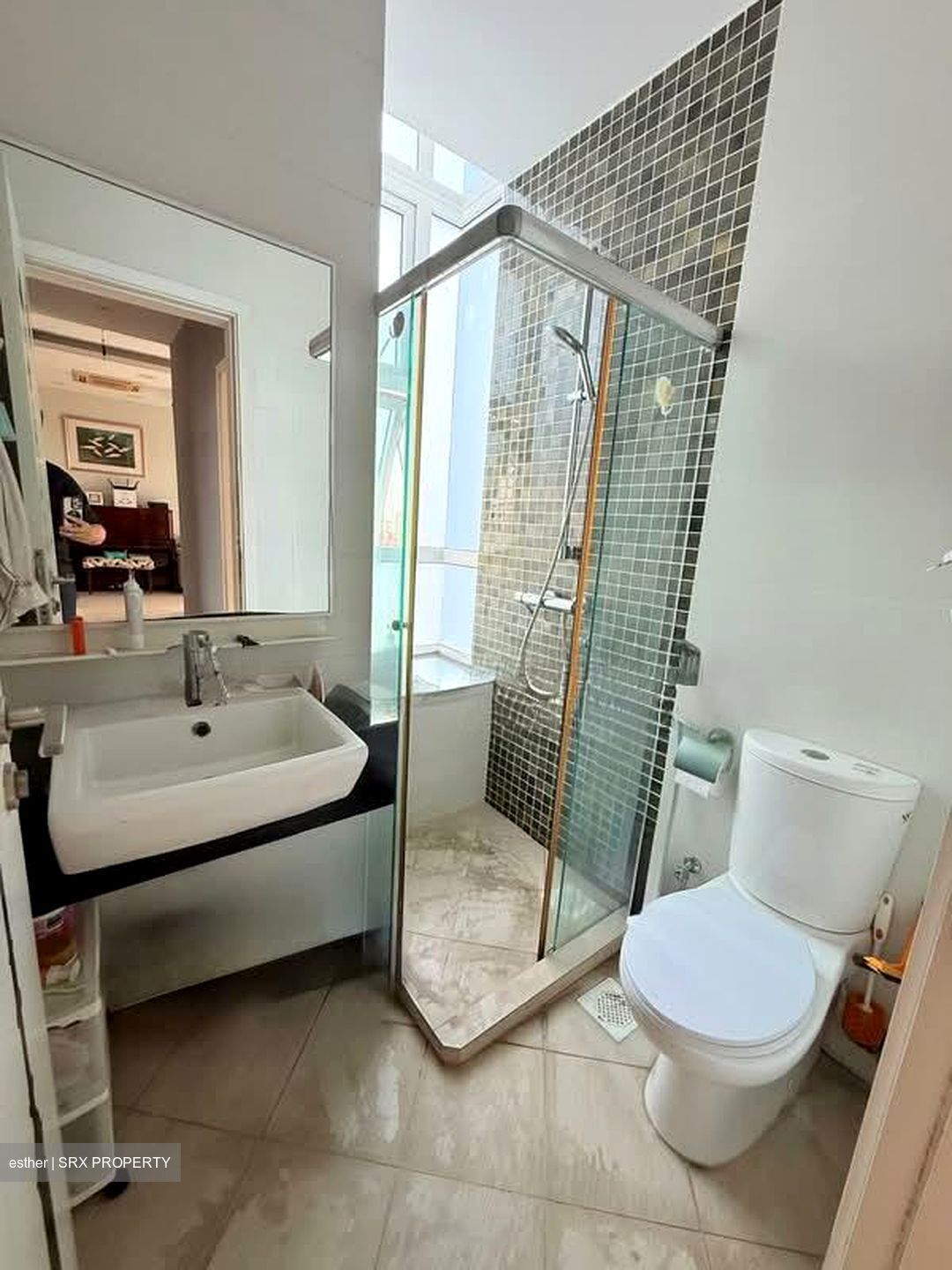 City Regency (D12), Apartment #543148001